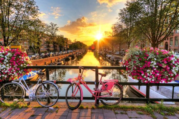 Beautiful sunrise over Amsterdam, The Netherlands, with flowers
